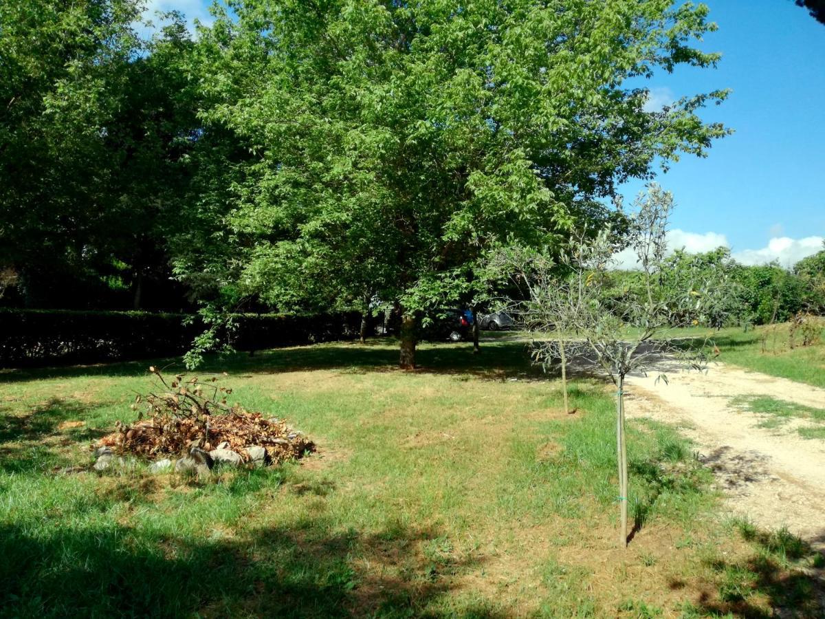 فليتري Vigna Dell'Agrifoglio - Bed And Breakfast المظهر الخارجي الصورة