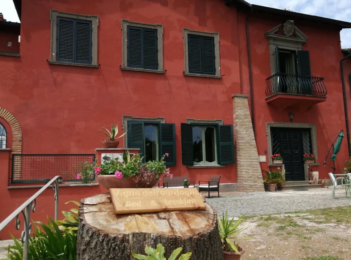 فليتري Vigna Dell'Agrifoglio - Bed And Breakfast المظهر الخارجي الصورة