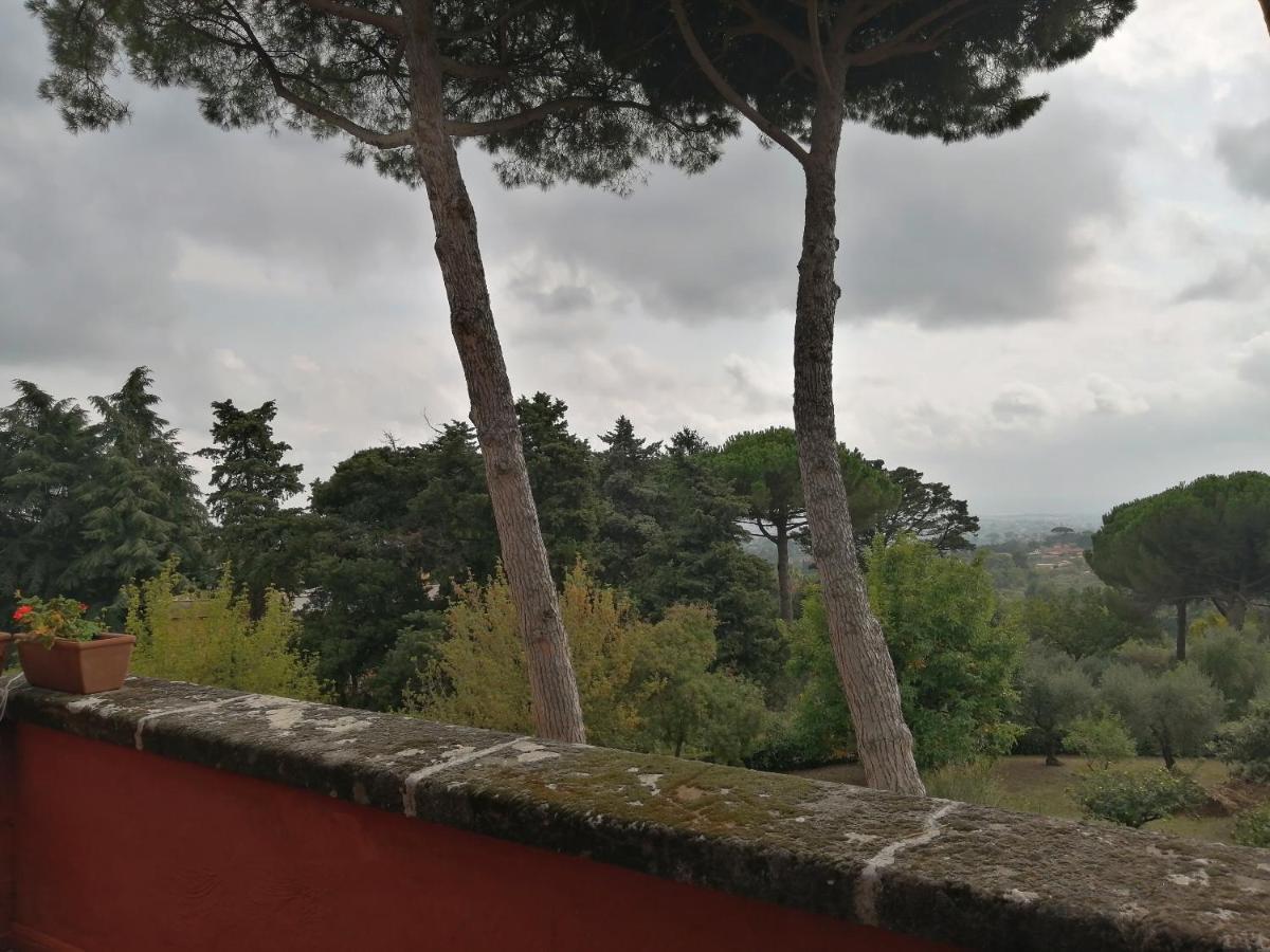 فليتري Vigna Dell'Agrifoglio - Bed And Breakfast المظهر الخارجي الصورة
