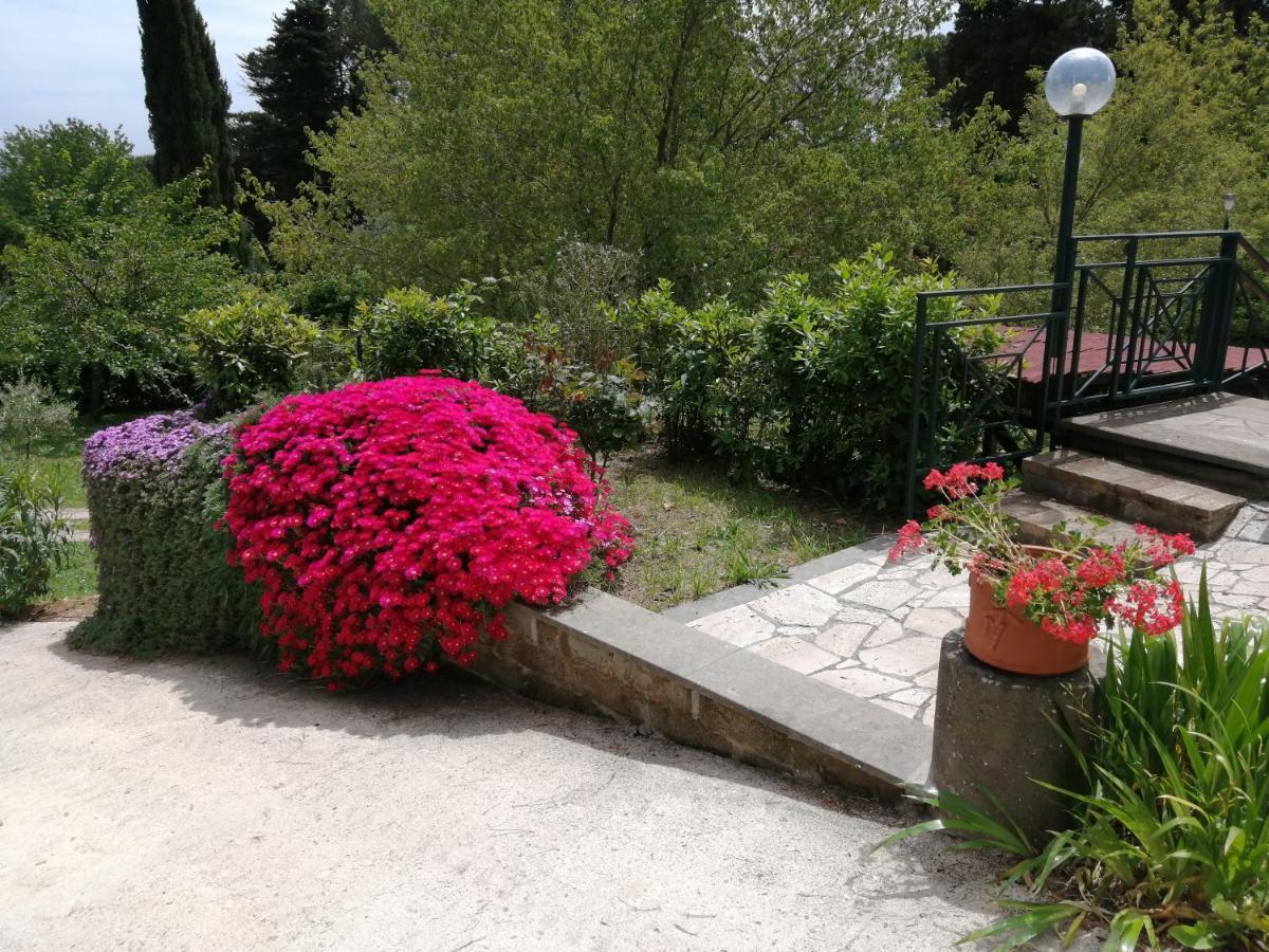 فليتري Vigna Dell'Agrifoglio - Bed And Breakfast المظهر الخارجي الصورة